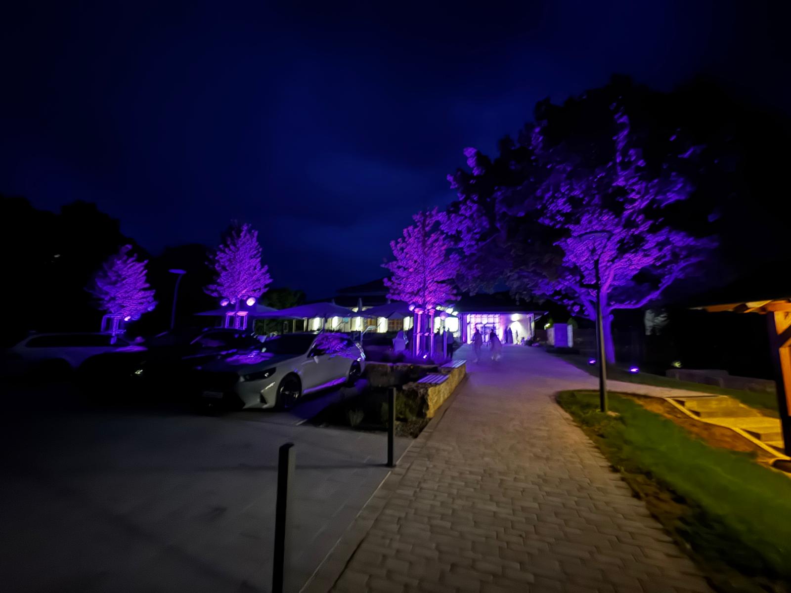 Weg und Bäume am Abend farbig angestrahlt