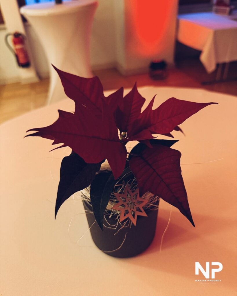 Weihnachtsfeier Elschukom - Bild 3