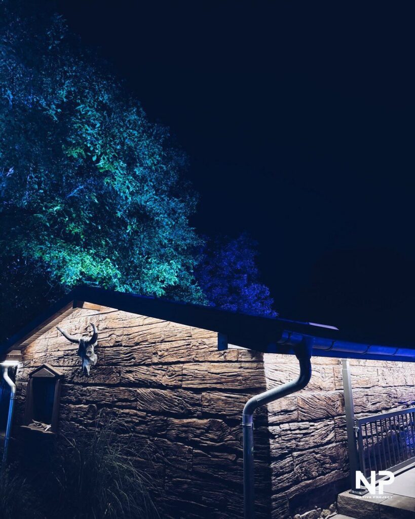 Gartenparty zum Geburtstag - Bild 2