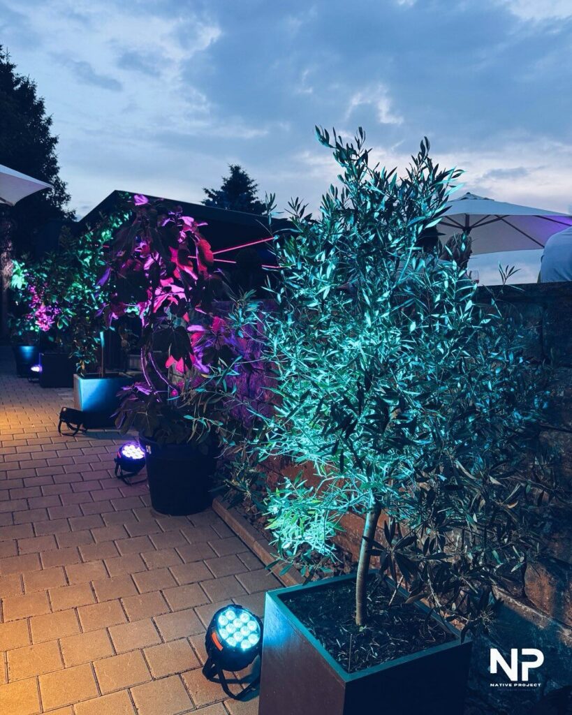 Gartenparty zum Geburtstag - Bild 5